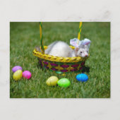 Het Briefkaart van het Fret van Pasen (Voorkant)