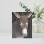 Het Briefkaart van het Heiligdom van de ezel (Staand voorkant)