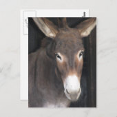 Het Briefkaart van het Heiligdom van de ezel (Voorkant / Achterkant)