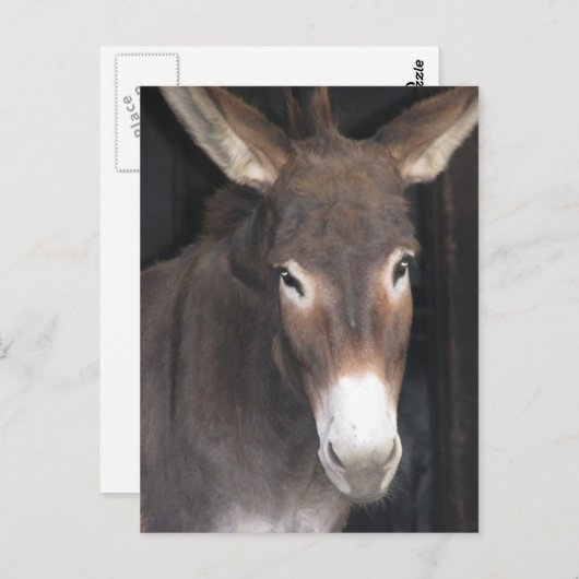 Het Briefkaart van het Heiligdom van de ezel (Voorkant / Achterkant)