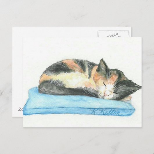 Het Briefkaart van het Katje van het Calico van de (Voorkant / Achterkant)