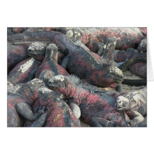 Het briefkaart van het monsterpact