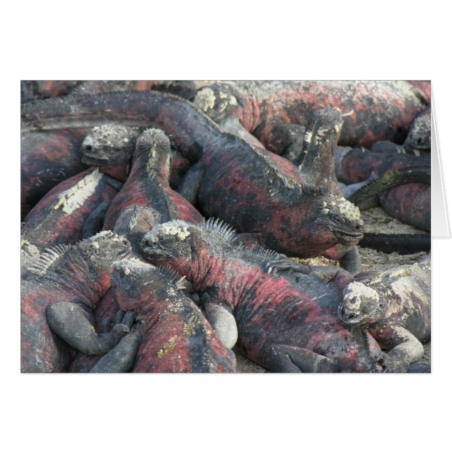 Het briefkaart van het monsterpact (Voorkant Horizontaal)