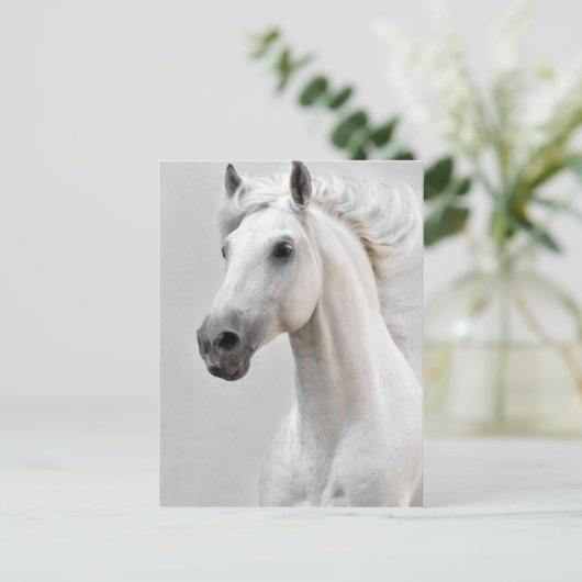 Het Briefkaart van het paard (Staand voorkant)