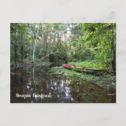 Het Briefkaart van het Regenwoud van Amazonië (Voorkant)