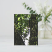 Het Briefkaart van het regenwoud & van de Waterval (Staand voorkant)