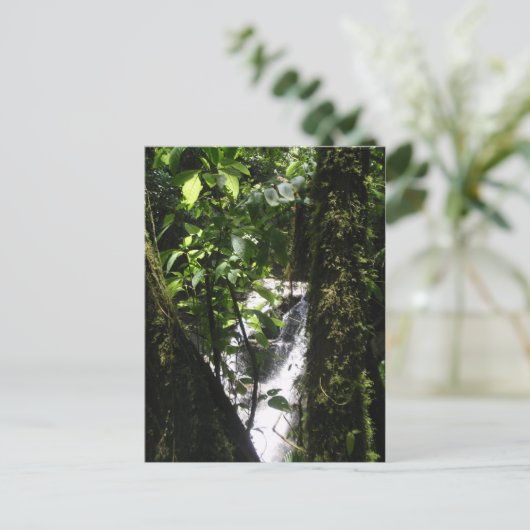 Het Briefkaart van het regenwoud & van de Waterval (Staand voorkant)