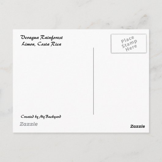 Het Briefkaart van het regenwoud & van de Waterval (Achterkant)