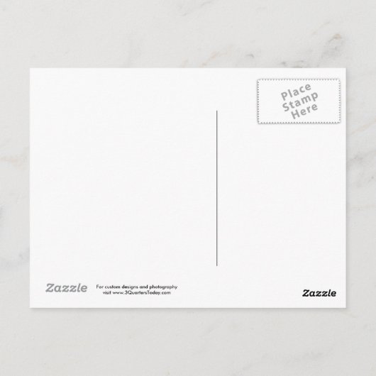 Het Briefkaart van het Reuzenrad van de Pijler van (Achterkant)