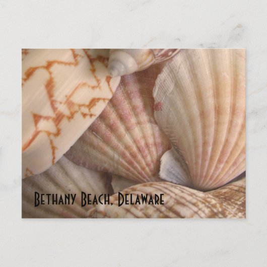 Het Briefkaart van het Strand van Bethany (Voorkant)