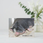 HET BRIEFKAART VAN HET VARKEN VAN DE PENS (Staand voorkant)