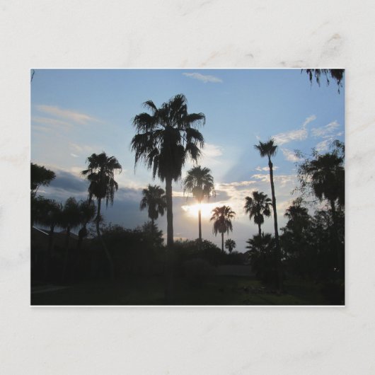 Het briefkaart van het zuiden TX (Voorkant)