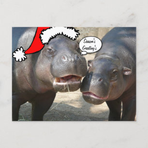 Het briefkaart van Hippo van de Kerstman van