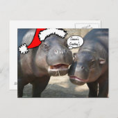 Het briefkaart van Hippo van de Kerstman van (Voorkant / Achterkant)