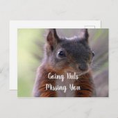 Het Briefkaart van je eekhoorn ontbreekt (Voorkant / Achterkant)