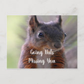 Het Briefkaart van je eekhoorn ontbreekt (Voorkant)