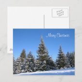 Het Briefkaart van Kerstmis (Voorkant / Achterkant)