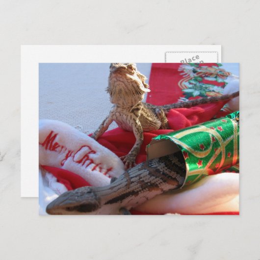 Het Briefkaart van Kerstmis van Aussie (Voorkant / Achterkant)