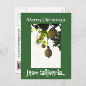 Het Briefkaart van Kerstmis van Californië (Voorkant / Achterkant)