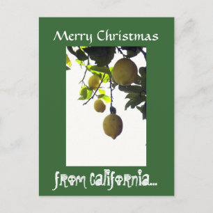 Het Briefkaart van Kerstmis van Californië