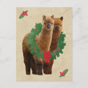 Het Briefkaart van Kerstmis van de alpaca