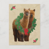 Het Briefkaart van Kerstmis van de alpaca (Voorkant)