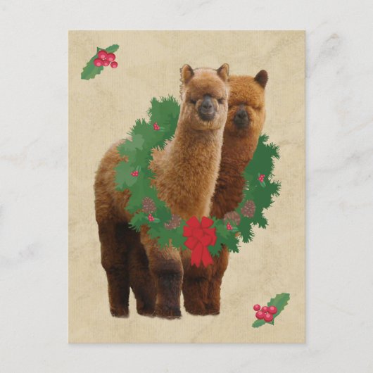 Het Briefkaart van Kerstmis van de alpaca (Voorkant)