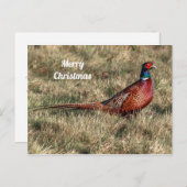 Het Briefkaart van Kerstmis van de fazant (Voorkant / Achterkant)