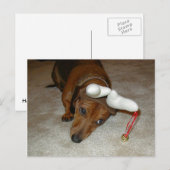 Het Briefkaart van Kerstmis van de tekkel (Voorkant / Achterkant)