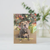 Het Briefkaart van Kerstmis van Pitbull van de (Staand voorkant)