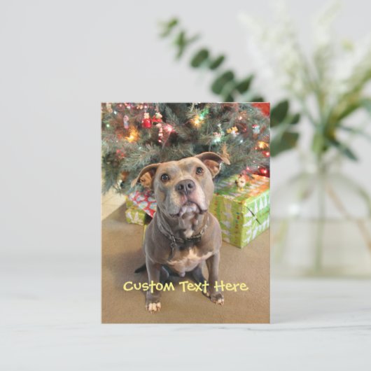 Het Briefkaart van Kerstmis van Pitbull van de (Staand voorkant)