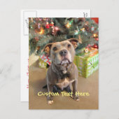 Het Briefkaart van Kerstmis van Pitbull van de (Voorkant / Achterkant)