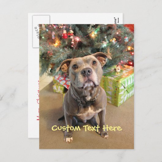 Het Briefkaart van Kerstmis van Pitbull van de (Voorkant / Achterkant)