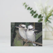 Het briefkaart van kookaburra's (Staand voorkant)