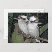 Het briefkaart van kookaburra's (Voorkant / Achterkant)