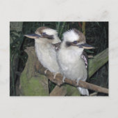 Het briefkaart van kookaburra's (Voorkant)
