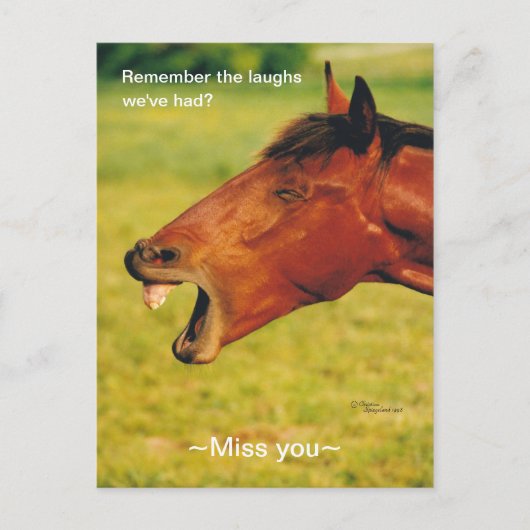 Het Briefkaart van Laughs Horse (Voorkant)