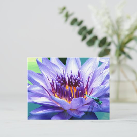 Het Briefkaart van Lilly (Staand voorkant)