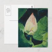 Het Briefkaart van Lotus (Voorkant / Achterkant)