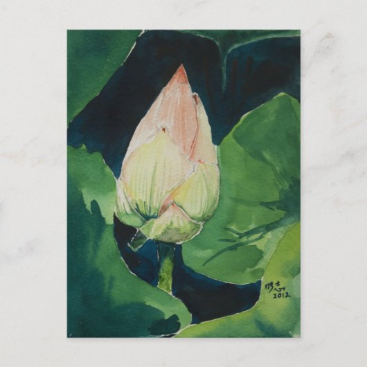 Het Briefkaart van Lotus (Voorkant)