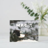 Het Briefkaart van Magpi (Staand voorkant)