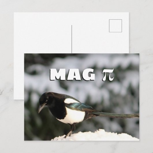 Het Briefkaart van Magpi (Voorkant / Achterkant)