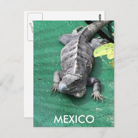 Het Briefkaart van Mexico (Voorkant / Achterkant)
