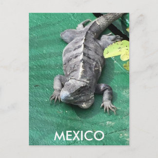 Het Briefkaart van Mexico