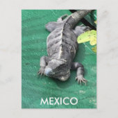 Het Briefkaart van Mexico (Voorkant)