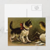 Het Briefkaart van Pasen van het katje & van het (Voorkant / Achterkant)