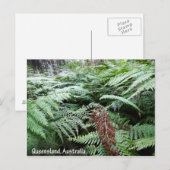 Het Briefkaart van Queensland Australië (Voorkant / Achterkant)