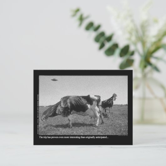 Het Briefkaart van Roostercows (Staand voorkant)