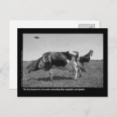 Het Briefkaart van Roostercows (Voorkant / Achterkant)