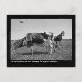 Het Briefkaart van Roostercows (Voorkant)